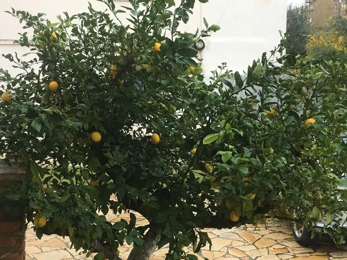 Vila Islami Durres Guest house
