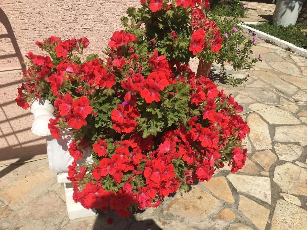 Vila Islami Dıraç Konukevi